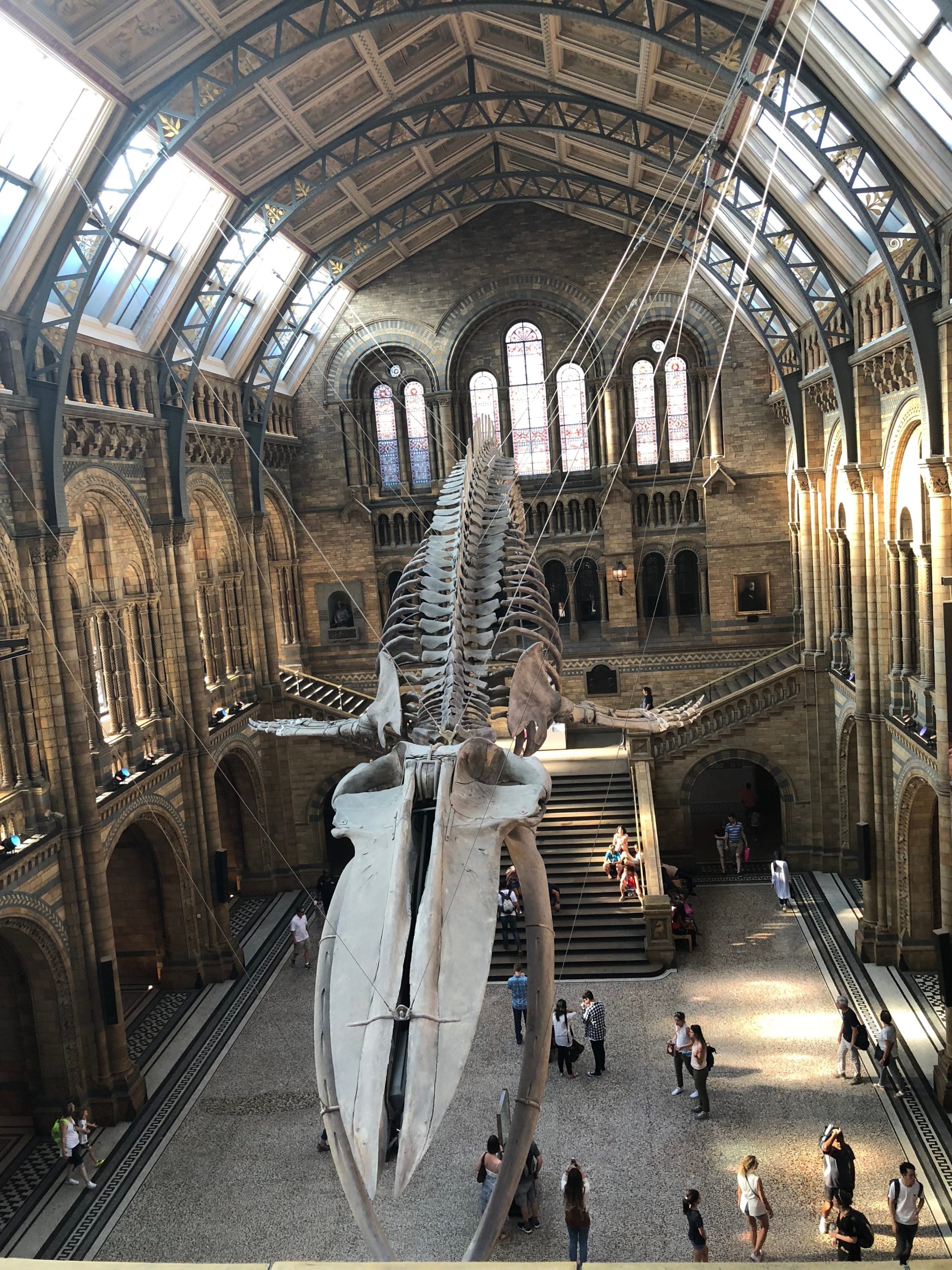 Natural History Museum